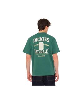 Camiseta Dickies Eliiston Verde Hombre